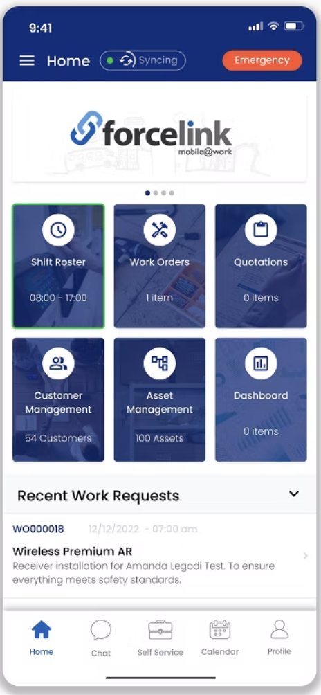 Forcelink full site preview
